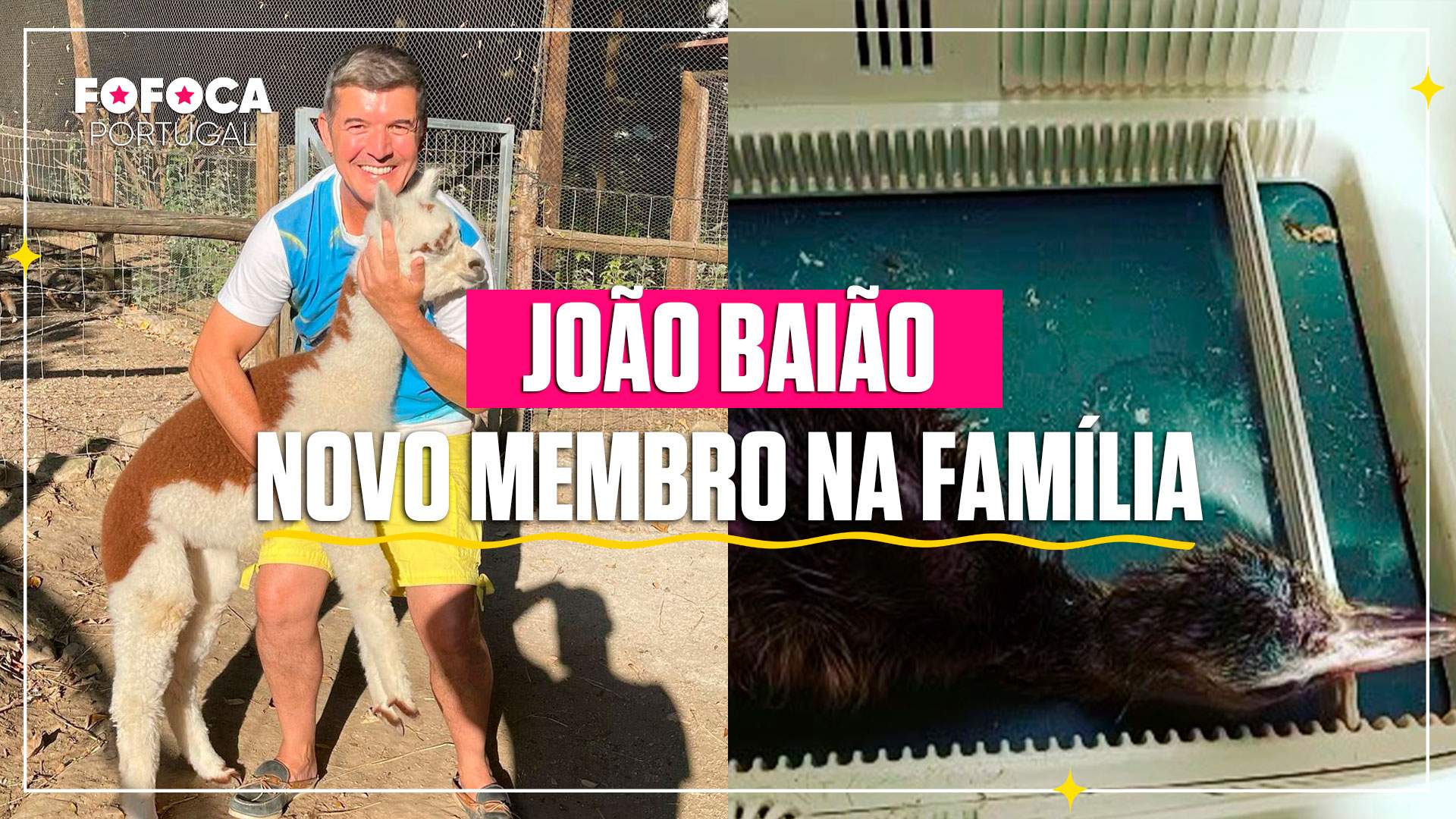 João Baião mostra novo membro da família